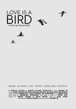 Poster de la película Love is A Bird - Películas hoy en TV