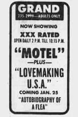 Póster de la película Lovemaking U.S.A.