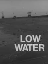 Póster de la película Low Water