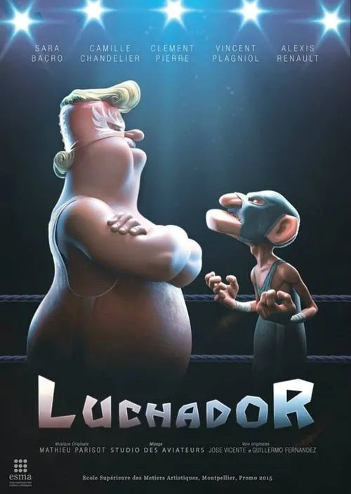 Póster de la película Luchador