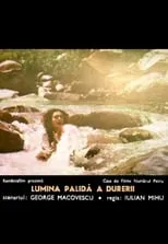 Póster de la película Lumina palidă a durerii