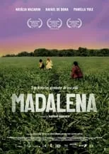 Poster de la película Madalena - Películas hoy en TV