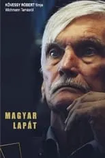 Película Magyar lapát