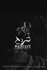 Meysam Damanzeh es  en Maliceye