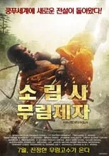 Póster de la película Man from Shaolin