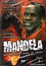 Póster de la película Mandela hijo de África