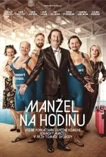 Póster de la película Manžel na hodinu