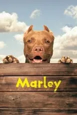 Poster de Marley