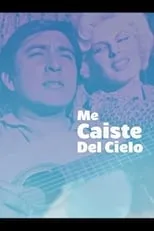 Póster de la película Me caiste del cielo