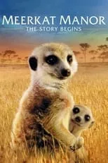 Póster de la película Meerkat Manor: The Story Begins