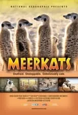 Póster de la película Meerkats 3D