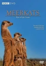 Simon King es Narrator en Meerkats: Part of the Team