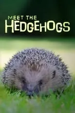 Steve Backshall es Self - Presenter en Meet the Hedgehogs