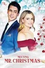 Poster de la película Meeting Mr. Christmas - Películas hoy en TV