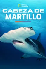 Película Mega Hammerhead