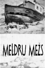 Portada de Meldru mežs