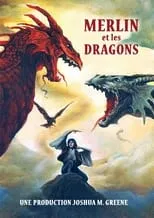 Poster de la película Merlín y los dragones - Películas hoy en TV