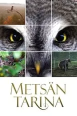 Póster de la película Metsän tarina