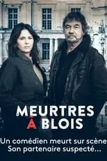 Poster de Meurtres à Blois