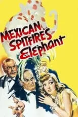 Lydia Bilbrook interpreta a Lady Ada Epping en Mexican Spitfire's Elephant