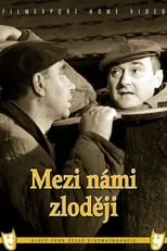 Póster de la película Mezi námi zloději