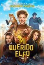 Poster de la película Mi querido Elfo - Películas hoy en TV