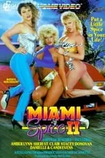 Póster de la película Miami Spice II