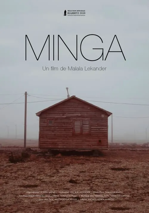 Póster de la película Minga