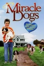 Poster de la película Miracle Dogs - Películas hoy en TV