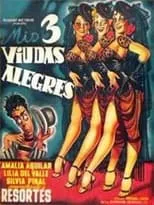 Portada de Mis tres viudas alegres