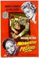 Póster de la película Momentos de peligro