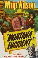 Póster de la película Montana Incident