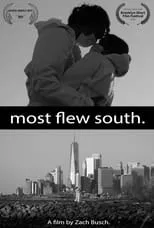 Poster de la película Most Flew South - Películas hoy en TV