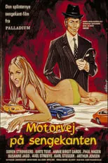 Póster de la película Motel en la carretera