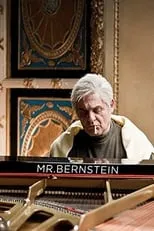 Portada de Mr Bernstein