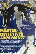 Póster de la película Mästerdetektiven lever farligt