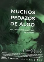 Póster de la película Muchos pedazos de algo