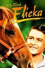 Póster de la película My Friend Flicka