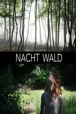 Póster de la película Nacht Wald