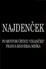 Película Najdenček