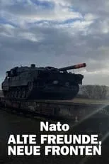 Poster de la película Nato – Alte Freunde, neue Fronten - Películas hoy en TV