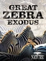 Película Nature: Great Zebra Exodus