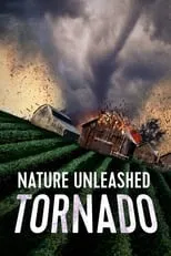 Sandu Mihai Gruia interpreta a Gardien (Sandu Gruia I) en Nature Unleashed: Tornado