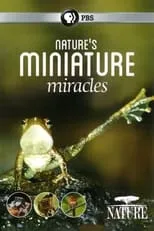 Hugh Dennis es Narrator en Nature's Miniature Miracles