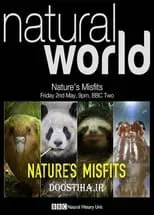 Póster de la película Nature's Misfits