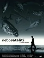 Poster de Nebo sateliti