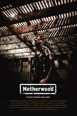 Portada de Netherwood