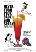 Póster de la película Never Turn Your Back On Sparks