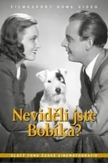 Póster de la película Neviděli jste Bobíka?