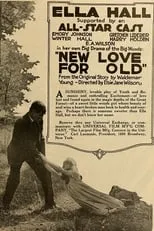 Póster de la película New Love for Old